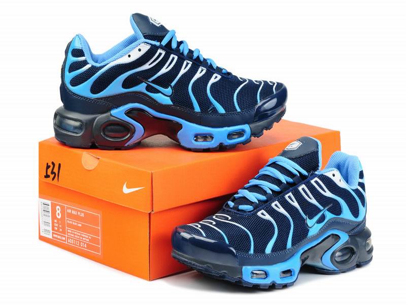 nouvelle tn requin